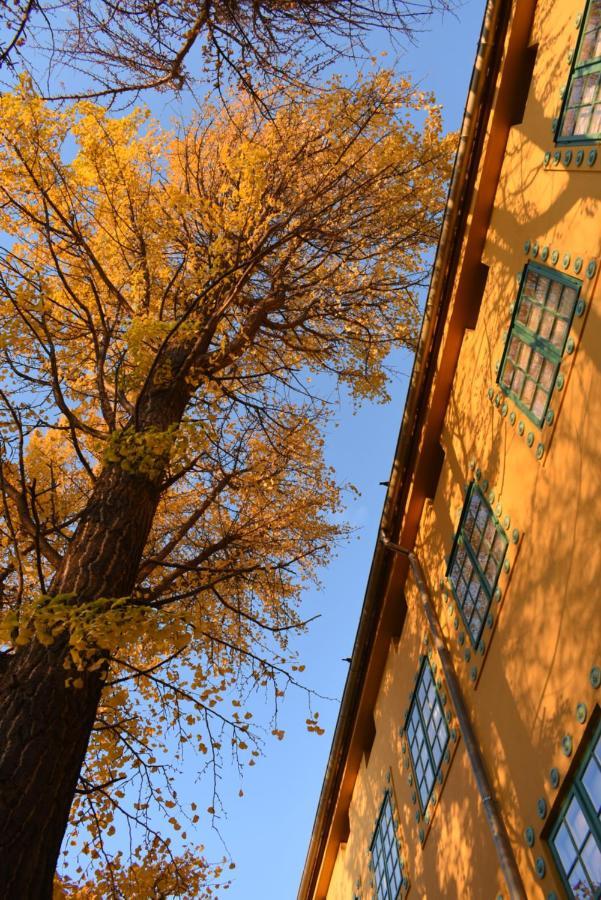 Zsolnay Negyed Vendégháza Pécs Extérieur photo